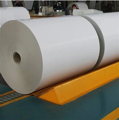 100 percent Biodegradable Material PLA Paper